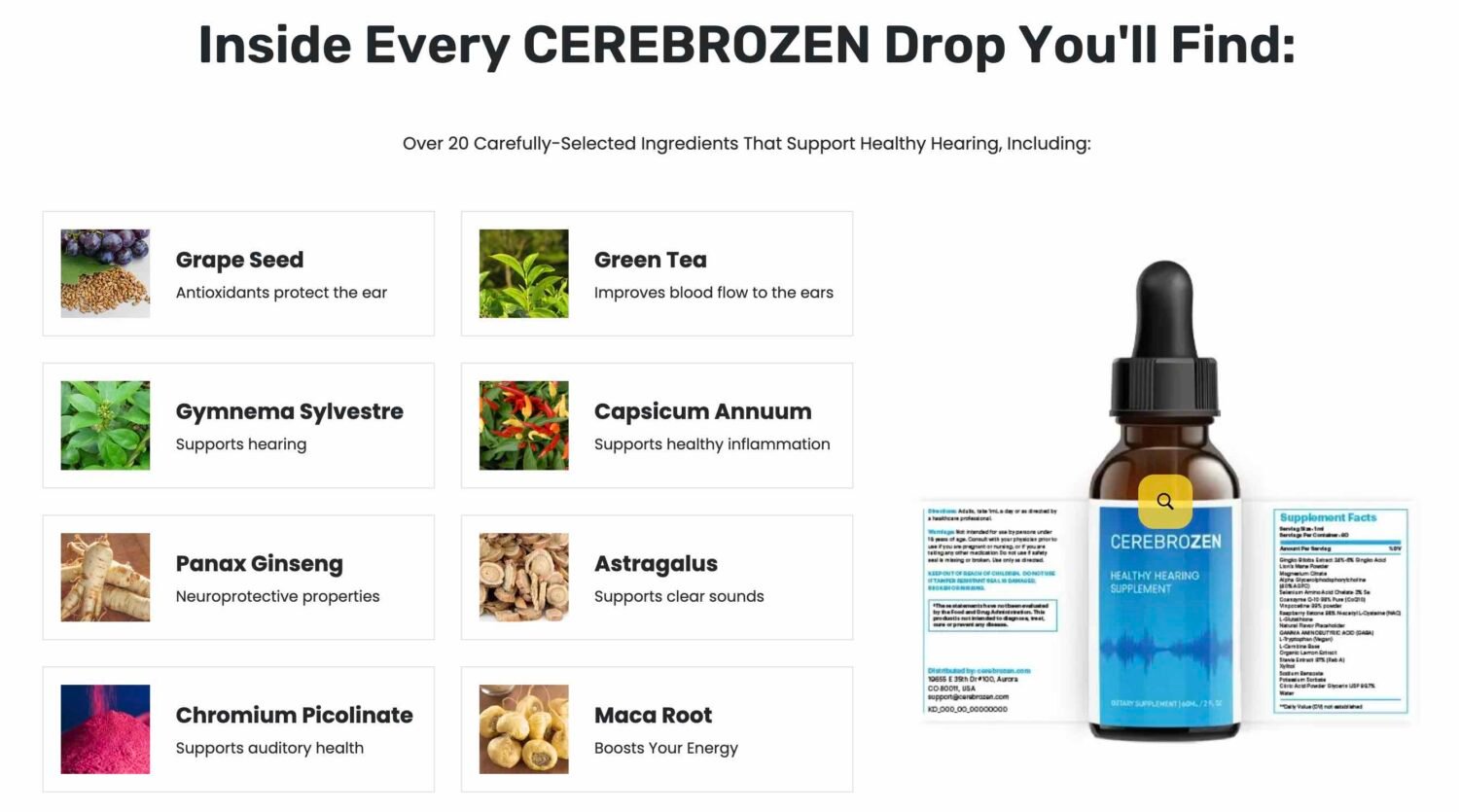 Cerebrozen A Comprehensive Review on Hearing Health Support