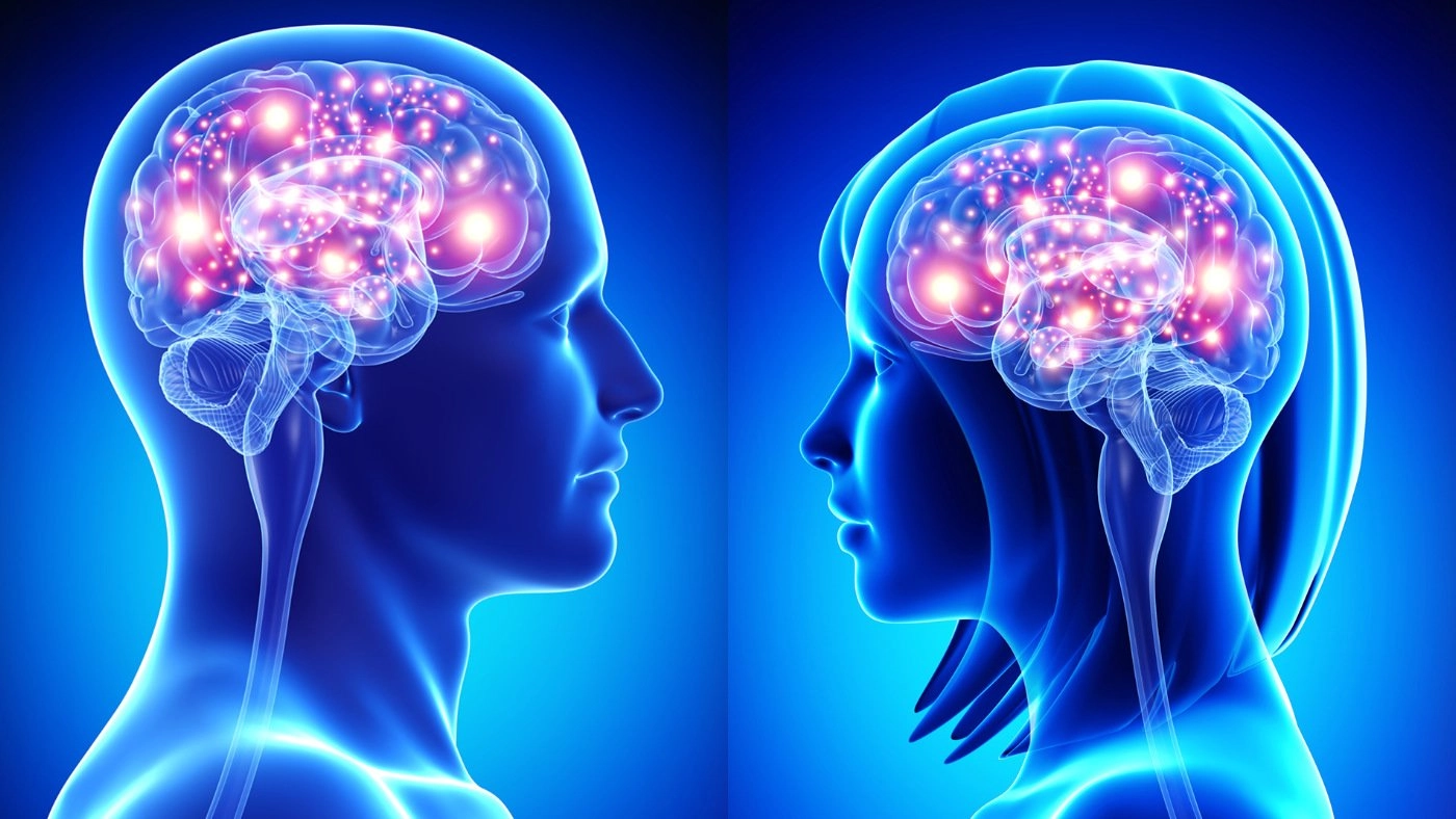 Pineal Pure A Comprehensive Review of Memory Support
